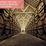 La Pomme, Ultra Cosy