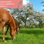 Διαμέρισμα La Pomme, Ultra Cosy