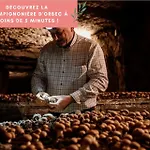 La Pomme, Ultra Cosy Orbec