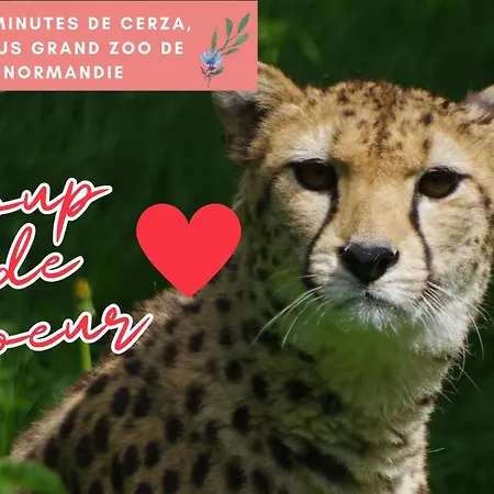 La Pomme, Ultra Cosy * Orbec