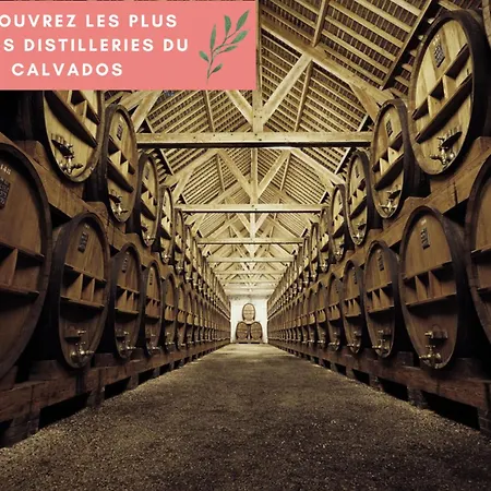 La Pomme, Ultra Cosy