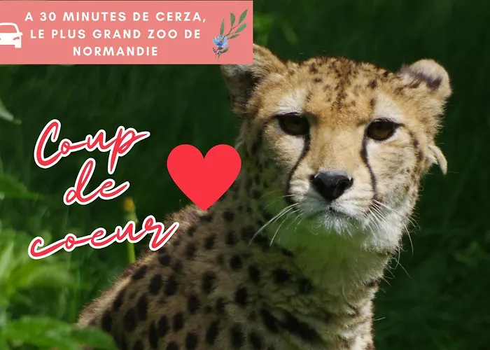 La Pomme, Ultra Cosy * Orbec