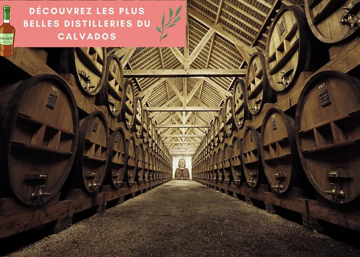 La Pomme, Ultra Cosy