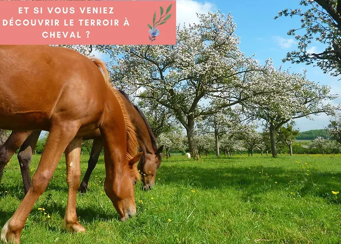 Διαμέρισμα La Pomme, Ultra Cosy