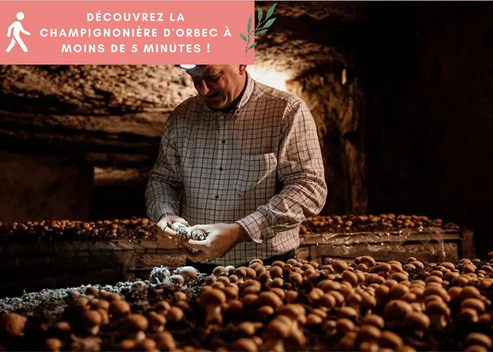 La Pomme, Ultra Cosy Orbec